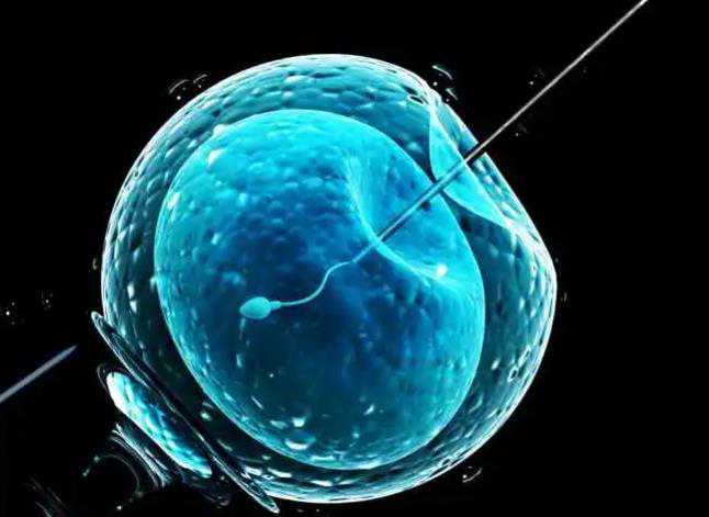 北京试管助孕经验多少钱,北京协和医院生殖中心试管冻囊胚移植成功率高吗？