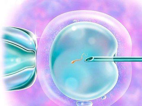 北京最新助孕技术,2023在北京农村怀三胎可以享受国家免费孕前检查吗？
