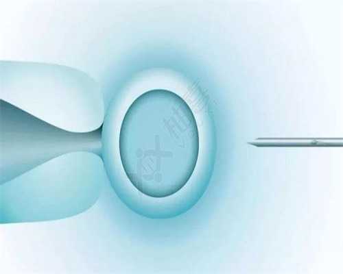 供卵会胎停吗,广州供卵