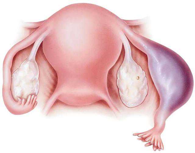 三代试管婴儿技术解析与全国资质医院指南