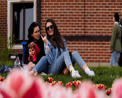 广州查处违法海外代孕宣传及服务案例解析