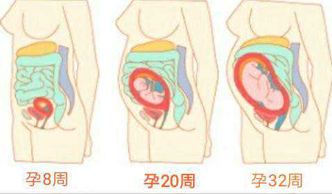 <strong>三代试管助孕成功率与费用解析，实现生子梦想</strong>