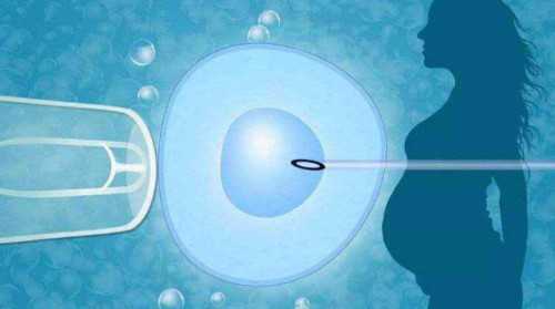 富锦地下机构供卵生男孩是否为骗局