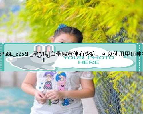 北京代孕中心有几家|qPu8E_c256F_孕初期白带偏黄伴有炎症，可以使用甲硝唑凝胶