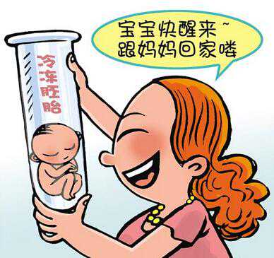 北京的代孕价格