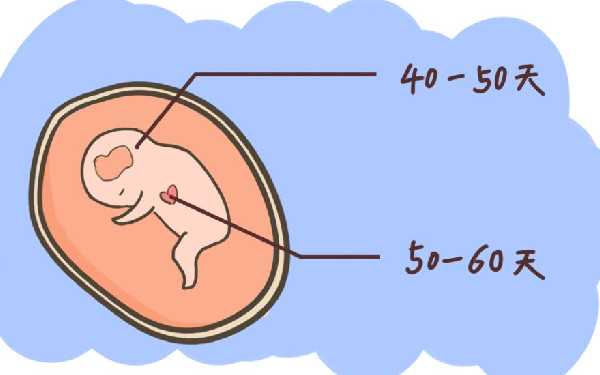 北京那个医院做胎儿DNA亲子鉴定？需要多,北京做亲子鉴定价格高吗？